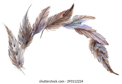 Watercolor brown gray grey feathers vector isolated