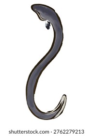 Watercolor Brush Style Eel Illustration (Side View)
