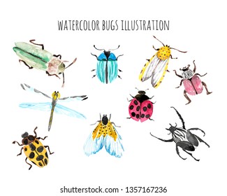 Watercolor Bugs Life Illustration Vector Design EPS10