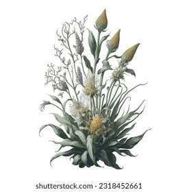 Watercolor Bulbophyllum Vector: A captivating representation of the unique Bulbophyllum orchid in a vectorized watercolor style.