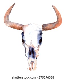 Watercolor bull skull over white, VECTOR