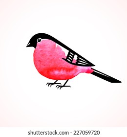 Watercolor bullfinch on white background. Vector illustration.