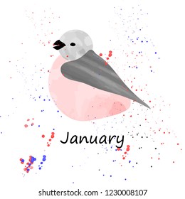 watercolor bullfinch for postcard or calendar