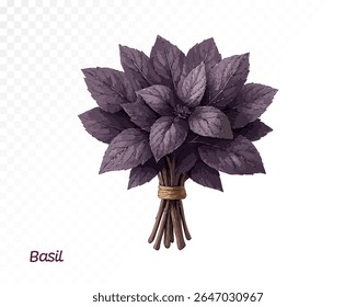 Watercolor bunch of dark purple basil with ribbon, handpainted in rich tones for culinary, botanical and packaging use. Vector illustration