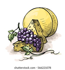 watercolor bunch of grapes and cheese isolated on white background in graphic style hand-drawn vector illustration