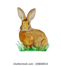 Watercolor bunny on the meadow. Easter greeting card.