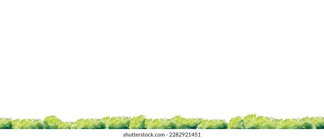 Watercolor bush grass line bander, vector in side view painting botanical for section and elevation. for landscape plan and architecture layout drawing, elements for environment and garden