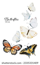 Watercolor butterflies collection, Vector butterfly elements isolated on white background. suitable for decorating in your design.
