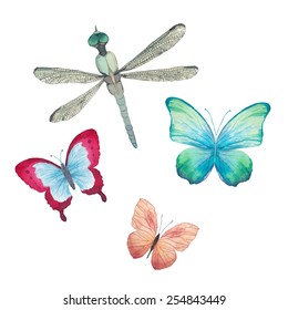 Watercolor butterflies and dragonfly set. Vector artistic insects in vector