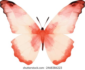 Watercolor butterflies, isolated on white background