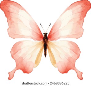 Watercolor butterflies, isolated on white background