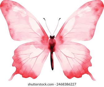 Watercolor butterflies, isolated on white background