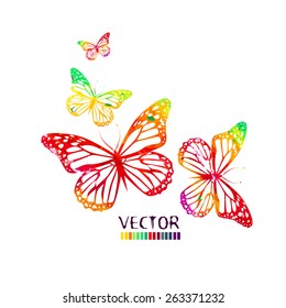 Watercolor butterflies on a white background. Vector