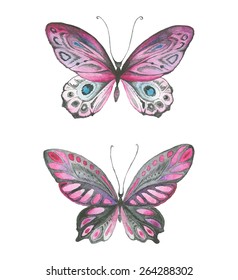 Watercolor butterflies pink, black and gray colors. 