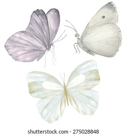Watercolor butterflies set