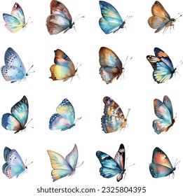 Watercolor butterflies set isolated on white background. Hand drawn illustration.