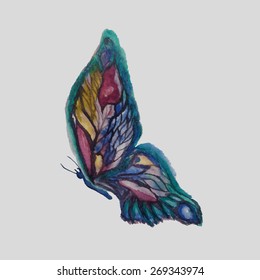 Watercolor butterfly