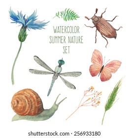 Watercolor butterfly, chafer, snail, field herbs, flowers and plants and dragonfly set. Vector artistic insects and floral elements in vector. Hand painted clip art