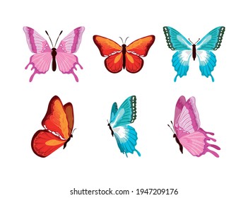 watercolor butterfly composition insect set