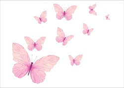 Watercolor Butterfly Hand Drawing Print