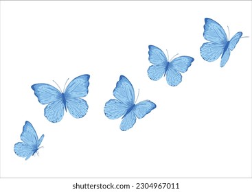 watercolor butterfly hand drawing print