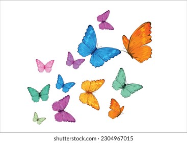 watercolor butterfly hand drawing print