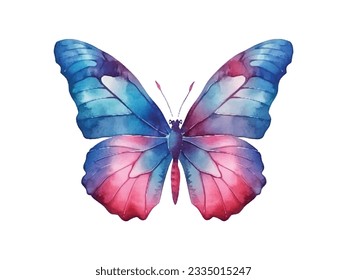 watercolor butterfly isolated on white background
