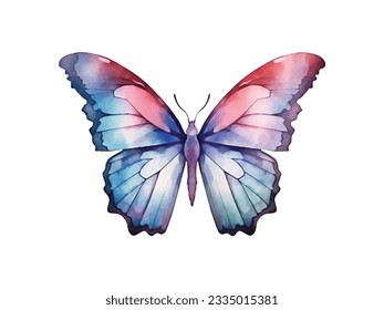 watercolor butterfly isolated on white background