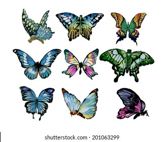 Watercolor Butterfly on white background vector