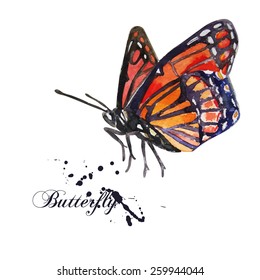 watercolor butterfly on a white background. Illustration for greeting cards, invitations, and other printing projects.