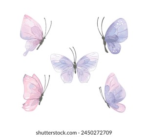 Conjunto mariposa acuarela 