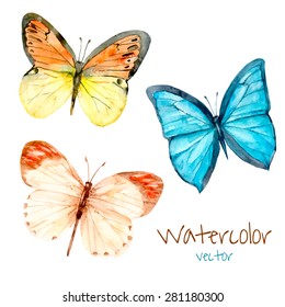 Watercolor Butterfly Set. Various Isolated Vector Butterfly Collection.