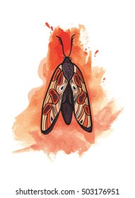 Watercolor butterfly/ vector