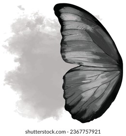 Watercolor butterfly wings with grey background vector illustration