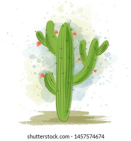 Watercolor cactus blooming. Succulent plant.