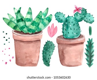 Watercolor cactus. Bright green. Thorny plant. For print on clothes, postcard. For your design. Hand-drawing.