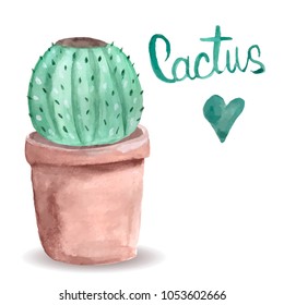Watercolor cactus. Bright green. Thorny plant. For print on clothes, postcard. For your design. Hand-drawing.