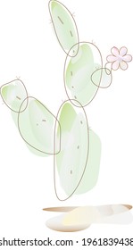  Watercolor Cactus on the white background