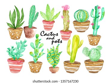 Watercolor Cactus And Pots Illustration Vector EPS10