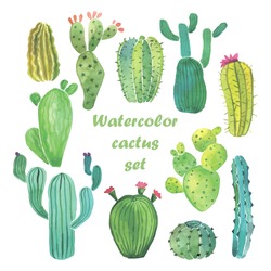 Juego De Cactus De Color De Agua