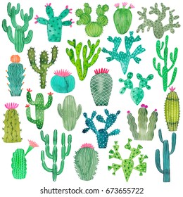 Watercolor cactus set