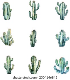 Watercolor cactus set. Hand drawn illustration. Isolated on white background.