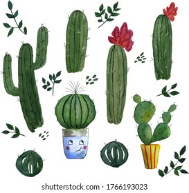Watercolor cactus set. Vector illustration.
