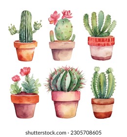 Watercolor cactus and succulent plants in pot watercolor individual flower pot