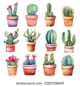 Watercolor cactus and succulent plants in pot watercolor individual flower pot