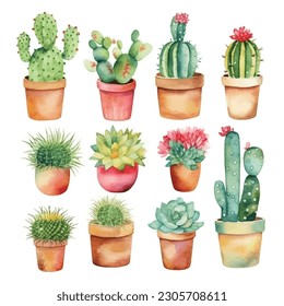 Watercolor cactus and succulent plants in pot watercolor individual flower pot