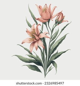 Watercolor Canada Lily Vector A captivating representation of the elegant Canada Lily in a vector format with watercolor effects. This artwork beautifully captures the delicate petals and vibrant hues