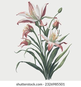 Watercolor Canada Lily Vector A captivating representation of the elegant Canada Lily in a vector format with watercolor effects. This artwork beautifully captures the delicate petals and vibrant hues