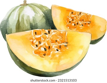 Watercolor Cantaloupe Illustration. Hand-drawn fresh food design element isolated on a white background.