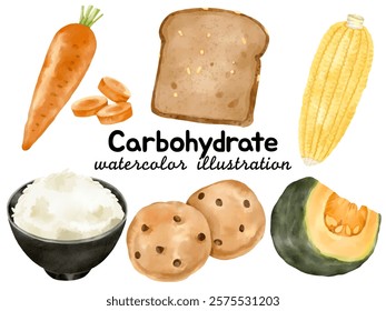 Watercolor Carbohydrate Illustration: Featuring Carrot, Bread, Corn, Rice, Cookies, and Pumpkin for Food-Themed Designs, Culinary Art, and Creative Projects